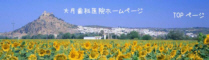 �匎����